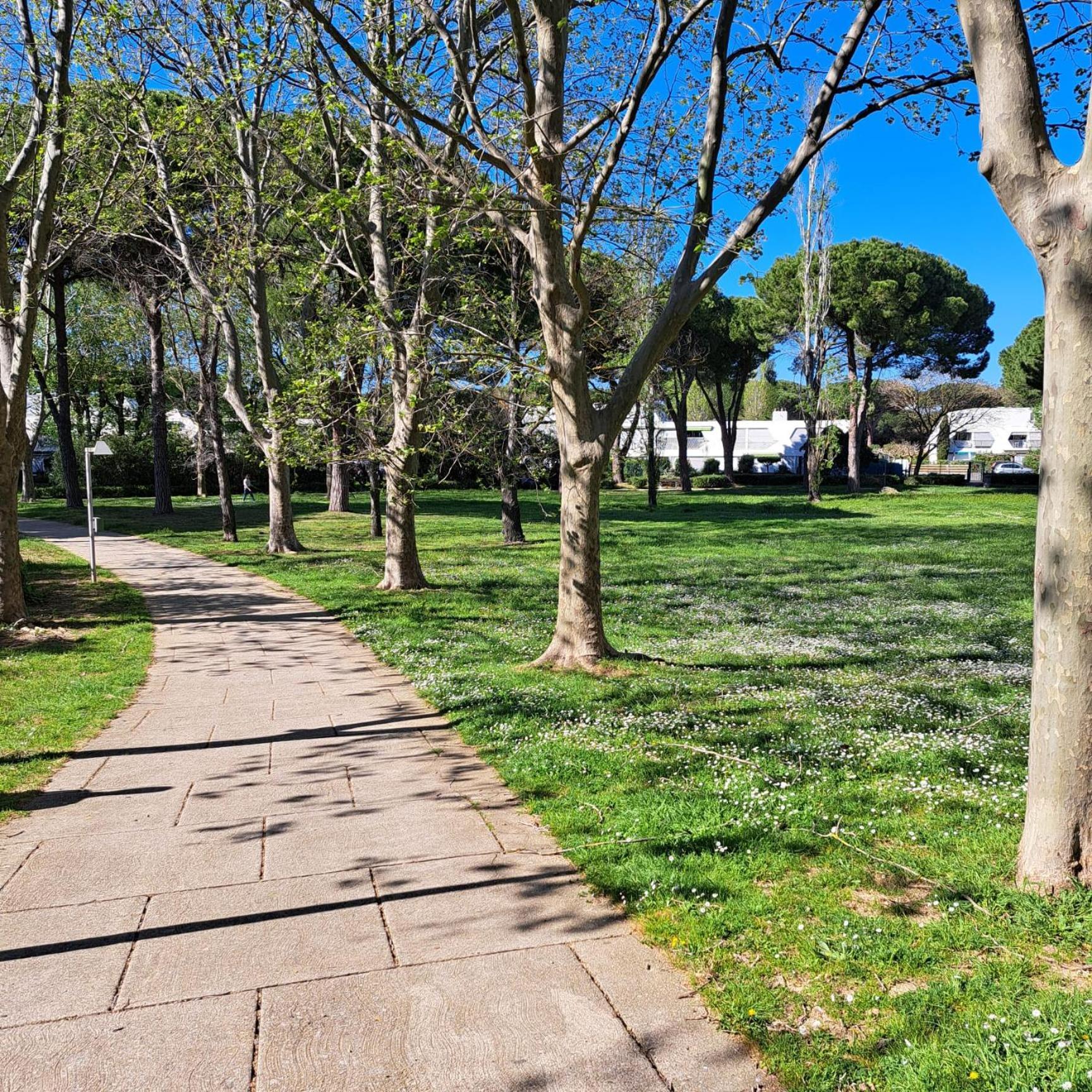 T2 West City Parking Clim Wifi 4Pers - Rossiconciergerie - Linge Inclus La Grande-Motte Exterior photo